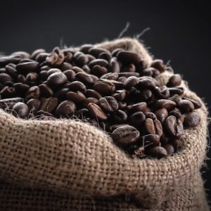Manual Burr Coffee Grinder